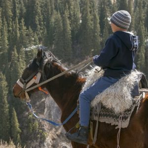 horse back riding travel